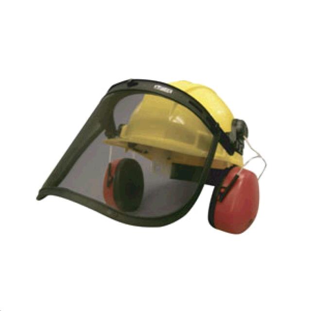 Rental store for EAR MUFF   FACE SHIELD COMBO in Reno NV